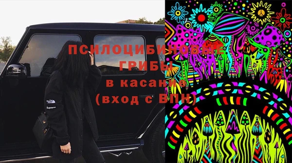 стафф Баксан