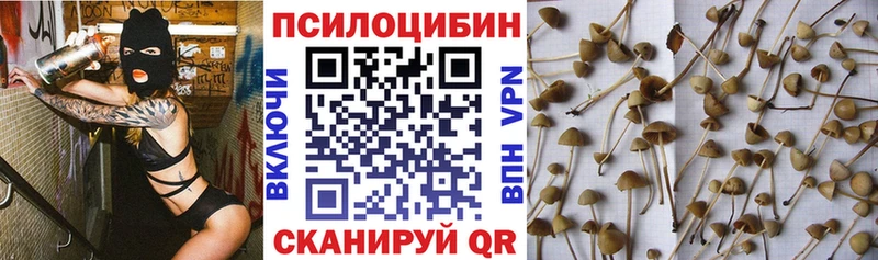 где найти наркотики  Лесозаводск  Псилоцибиновые грибы GOLDEN TEACHER 